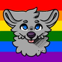 LGBTQ+ Pride Dog