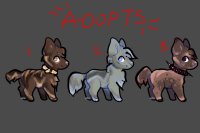 adopts | 3/3 open
