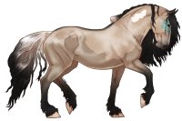 dunskin base dunskin base