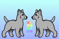 Dog/Canine Reference Sheet Base