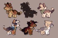 adoptables for u all ily