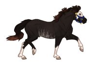 Ferox Welsh Pony #682