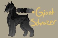 OTA giant schnauzeer ( OPEN )