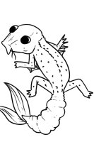 koi gecko for ellebee koi gecko for ellebee