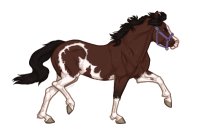 Ferox Welsh Pony #678