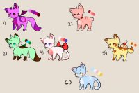 catto adopts - one left!