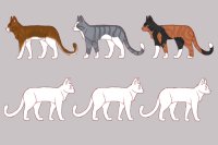 Cat adopts for sale!