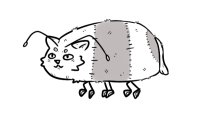 bumble bee kitten bumble bee kitten