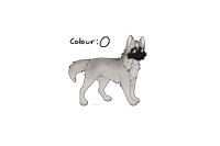 beaumont collie #038 entry