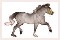 Ferox Welsh Pony #703