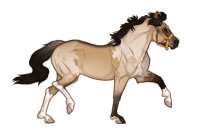 Ferox Welsh Pony #711