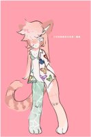 C4C Red Panda C4C Red Panda