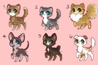 Mostly Natural Cats DISCOUNT now 35 C$ [ 4/6 open ]