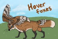 Hover Foxes