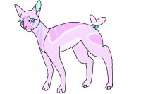 heart cat adoptable thing