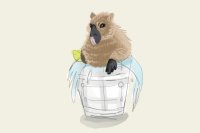 Capybara in a Bucket