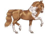 Avolire Horse #065