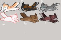 Warrior cat adopts/ Batch of 6 CLOSED