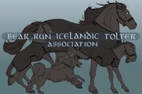 Bear Run Icelandic Tölter Association (SOFT OPEN pg7)