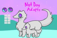 notdogs (open species) - update