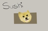 you will be missed, sushi <3
