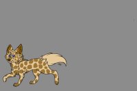 Giraffe cat