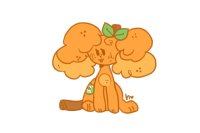 orange pup