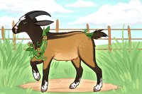 Goat Friend - Sold