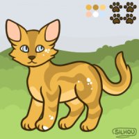 Cat Base / Specklekit