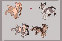 Pups for hollowmello