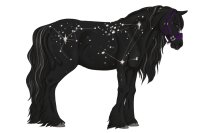 Night Sky Horse | 018