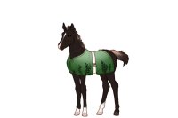 #F403 Foal Reference #F403 Foal Reference