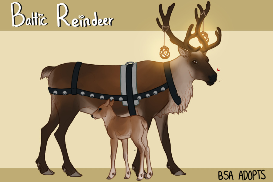 Reference image of Baltic Reindeer Standing