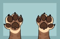 paws for cat