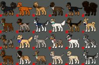 Canine Adopts: 0/24 Available :))