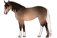 Euphorian Thoroughbred #1333 Euphorian Thoroughbred #1333