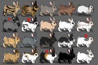 Bunny Adopts: 16/20 Available :)