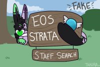 EOS STRATA | Staff Search