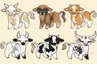 Cow Adopts: 6/6 Available :)