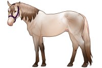 Euphorian Thoroughbred #1340 Euphorian Thoroughbred #1340
