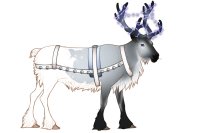 Baltic Reindeer #019 Baltic Reindeer #019