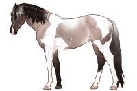 Euphorian Thoroughbred #1358 Euphorian Thoroughbred #1358