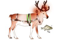 Baltic Reindeer #034 Baltic Reindeer #034