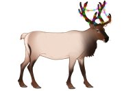 Baltic Reindeer #061 Baltic Reindeer #061
