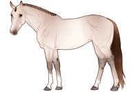 Euphorian Thoroughbred #F622 Euphorian Thoroughbred #F622