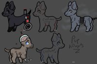 PUP ADOPTS!  5 available!