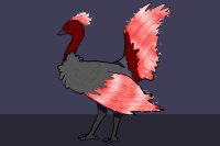 Phoenix Ostriches - Species Concept?
