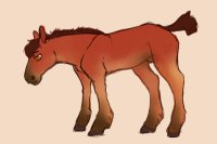Mustang sketch