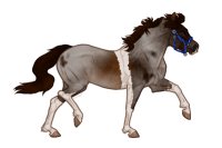 Ferox Welsh Pony #760