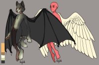 bat and bird wings